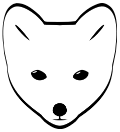 Arctic Fox head
