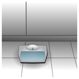 Bathroom Scale