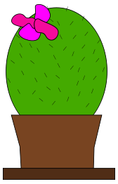 Cactus