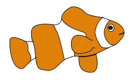 Clown Fish