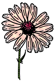 Colored Daisy 2