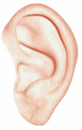 Human Ear clip art