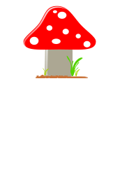 Mushroom / Seta
