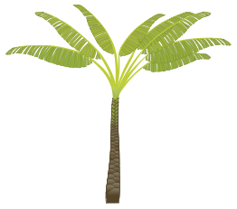 Palm Tree