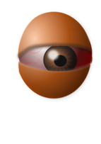AM Eyeball Egg