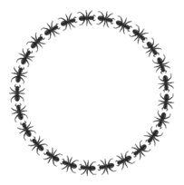 Ant Border Circle