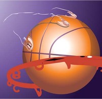 Basket illustrator vector