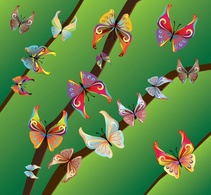 Beautiful Butterflies