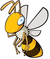 Bee 25