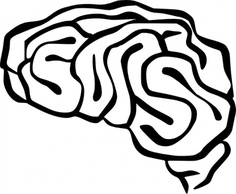 Brain clip art