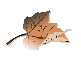 Brown leaf