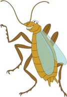 Bug Vector 3