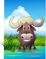 Bull Vector 15