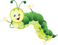 Caterpillar 3