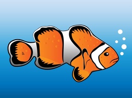 Clown Fish Vector