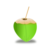 Coconut Icon