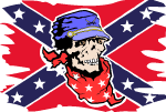 Confederate Flag Vector