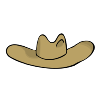 Cowboy hat