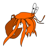 Crab