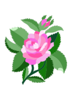 Design for damask rose