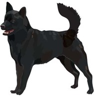 Dog Vector 50