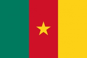 Flag Of Cameroon clip art