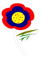 Flor Colombiana