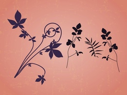 Floral Design Elements