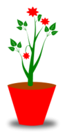 Flower Pot