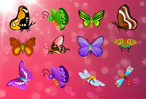 Free Vector Butterfly