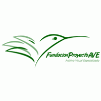 Fundación Proyecto AVE