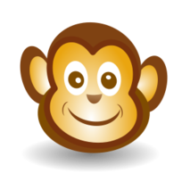 Funny Monkey Face