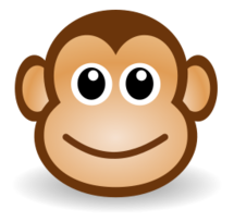 Funny Monkey Face