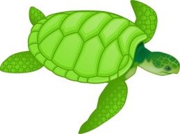 Green Sea Turtle clip art