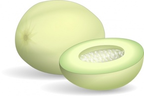 Honeydew Melon clip art