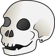 Human Skull clip art