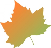 Kattekrab Plane Tree Autumn Leaf clip art