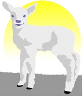 Lamb clip art