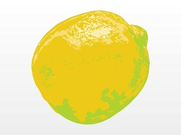 Lemon Illustration