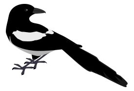 Magpie