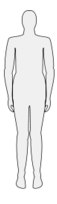 Male body silhouette