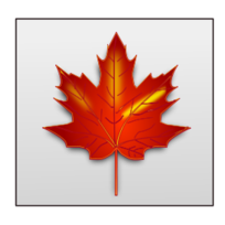 Maple Leaf