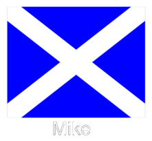 Mike Flag