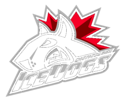 Mississauga Ice Dogs