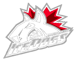 Mississauga Ice Dogs