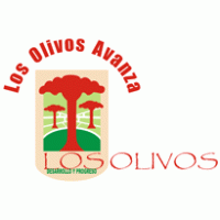 Municipalidad Los Olivos