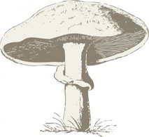 Mushroom clip art