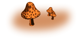 Mushrooms