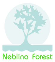 Neblina Forest