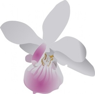 Orchidea clip art